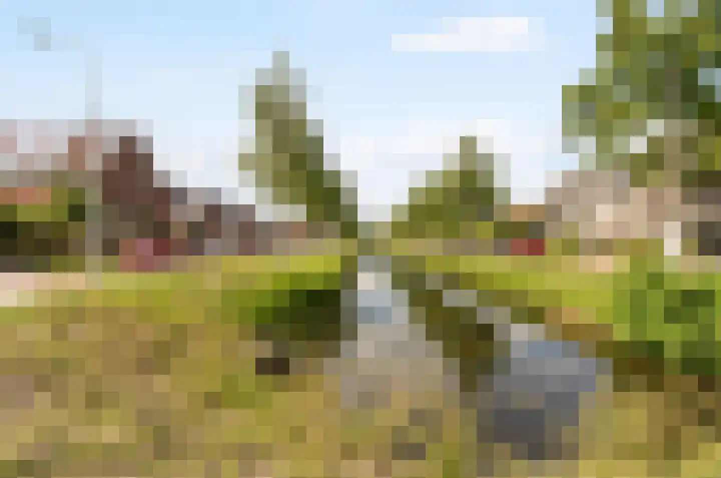 Anjerhof 71 Aalsmeer thumbnail 43