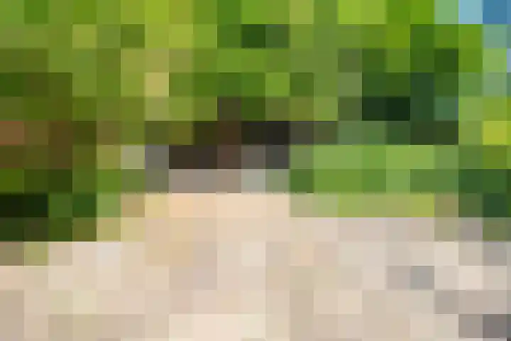 Anjerhof 82 Nieuwegein thumbnail 33