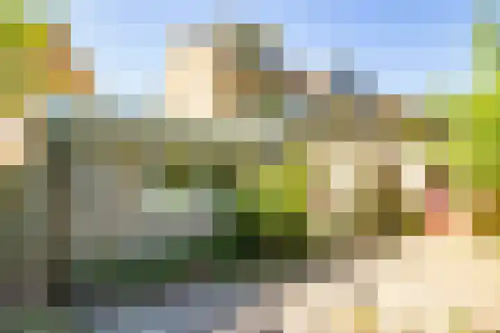 Anjerhof 82 Nieuwegein thumbnail 36