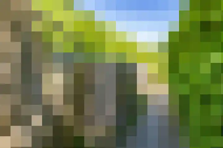 Anjerhof 82 Nieuwegein thumbnail 40
