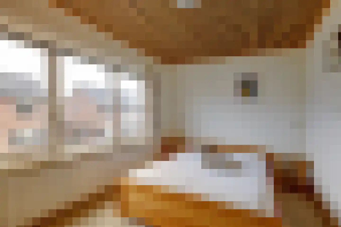 Anjerlaan 12 Warnsveld thumbnail 12