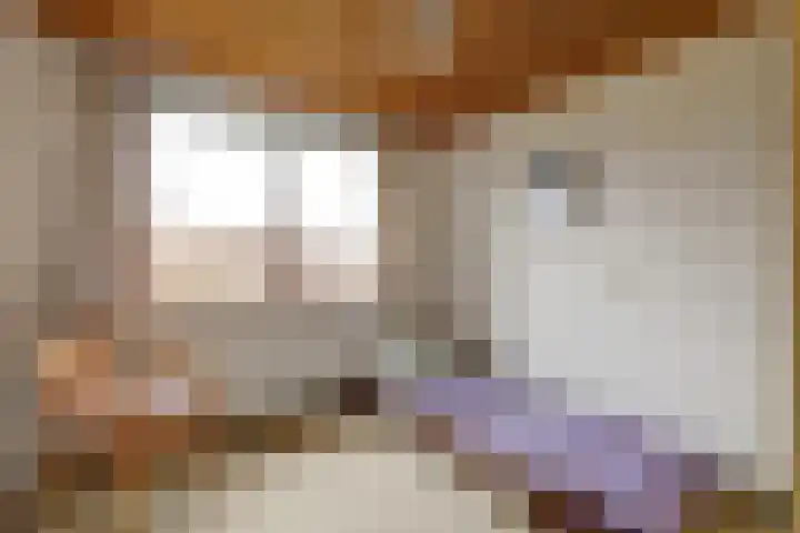 Anjerlaan 12 Warnsveld thumbnail 13