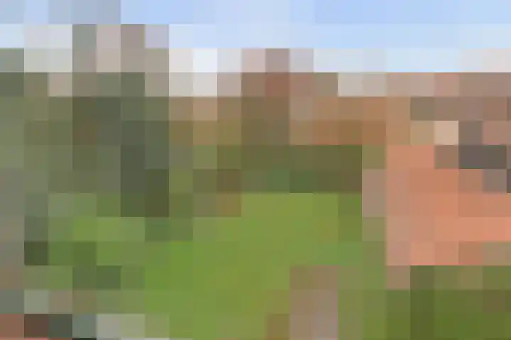 Anjerlaan 12 Warnsveld thumbnail 18