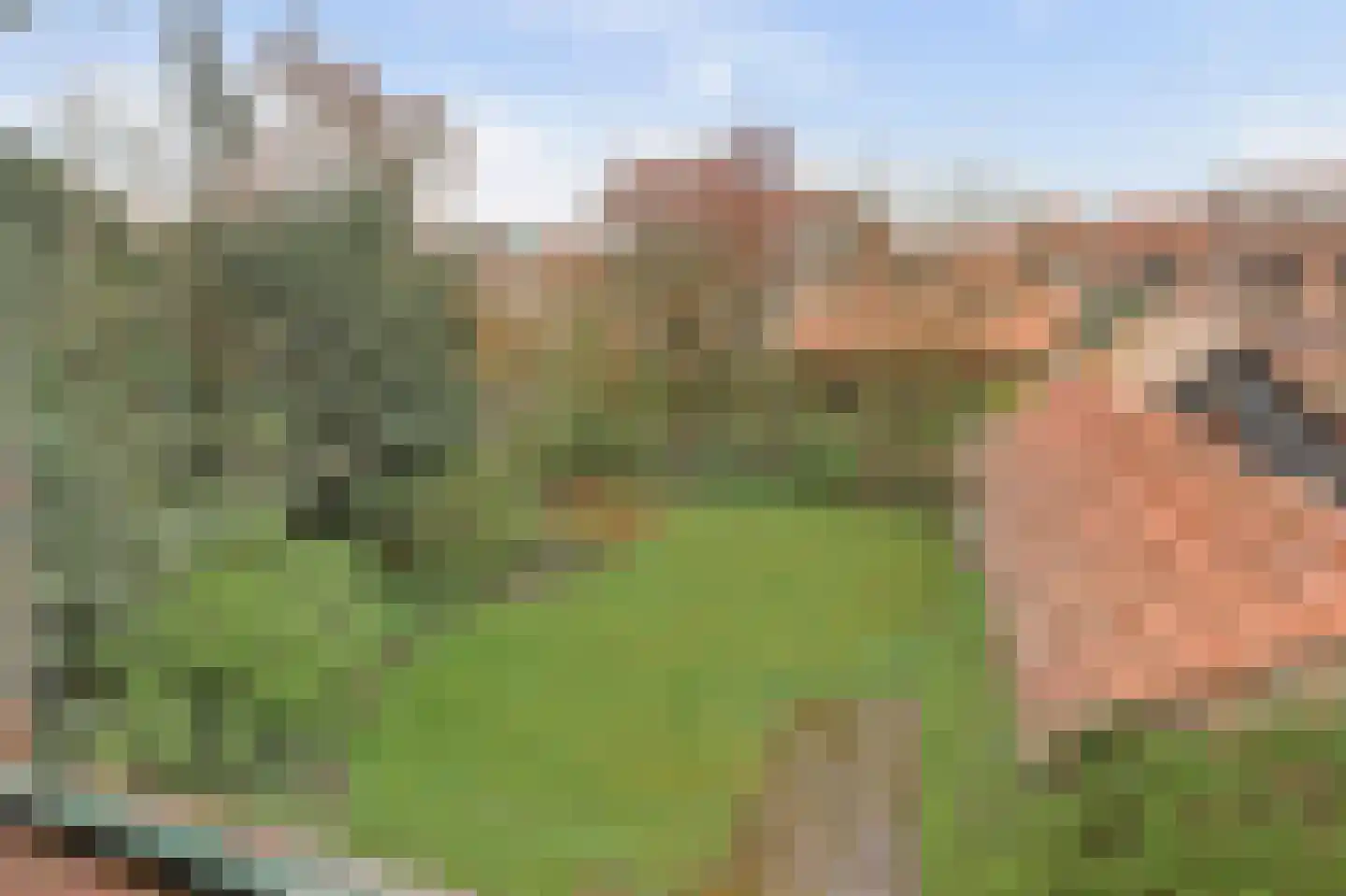 Anjerlaan 12 Warnsveld thumbnail 18