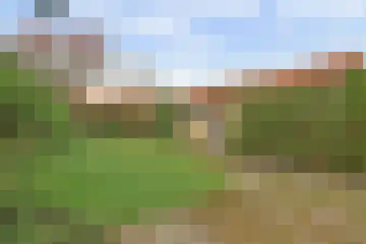 Anjerlaan 12 Warnsveld thumbnail 20