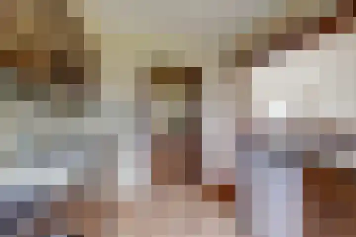 Anjerlaan 12 Warnsveld thumbnail 9