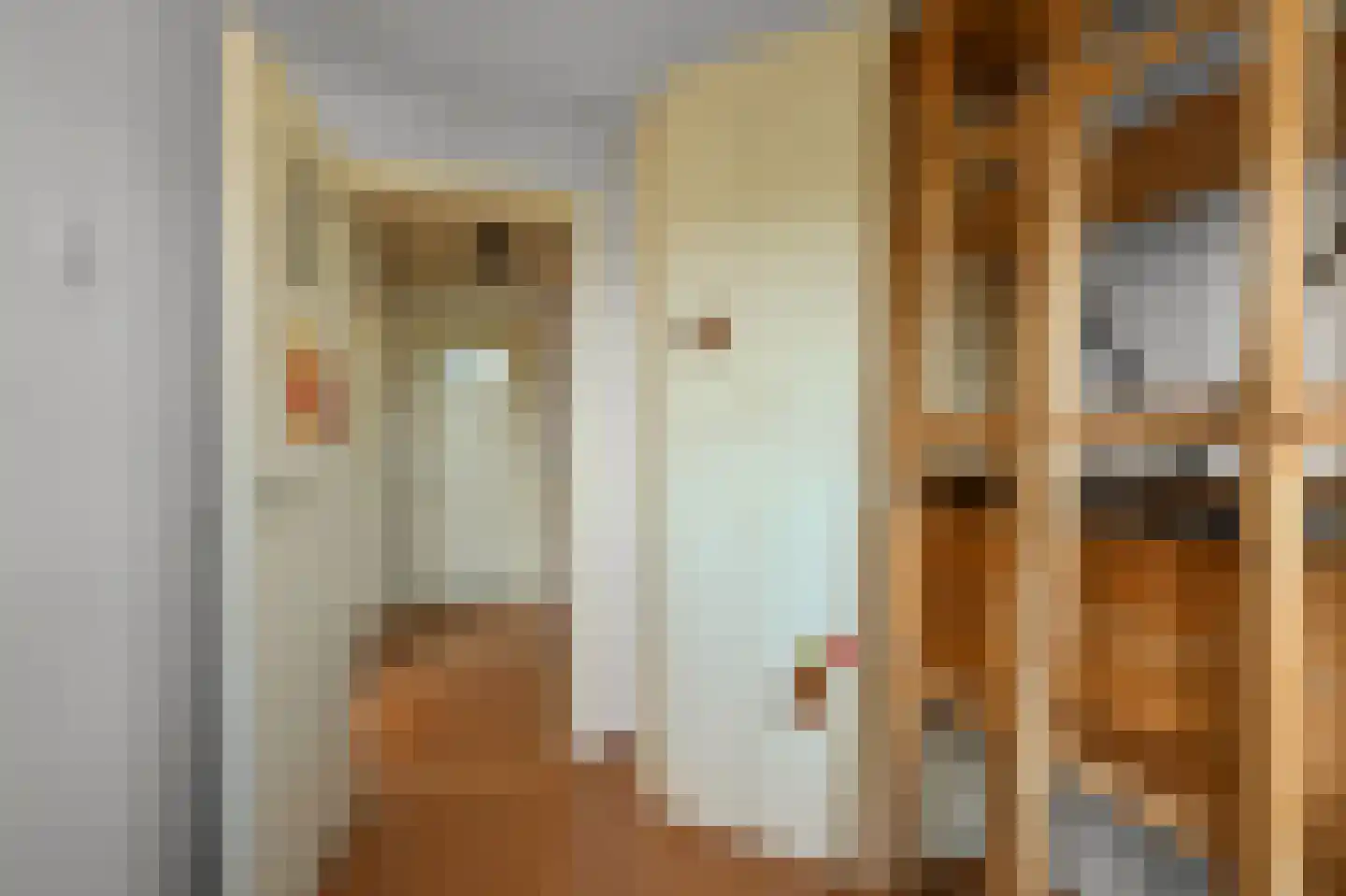 Anjerlaan 18 De Kwakel thumbnail 15