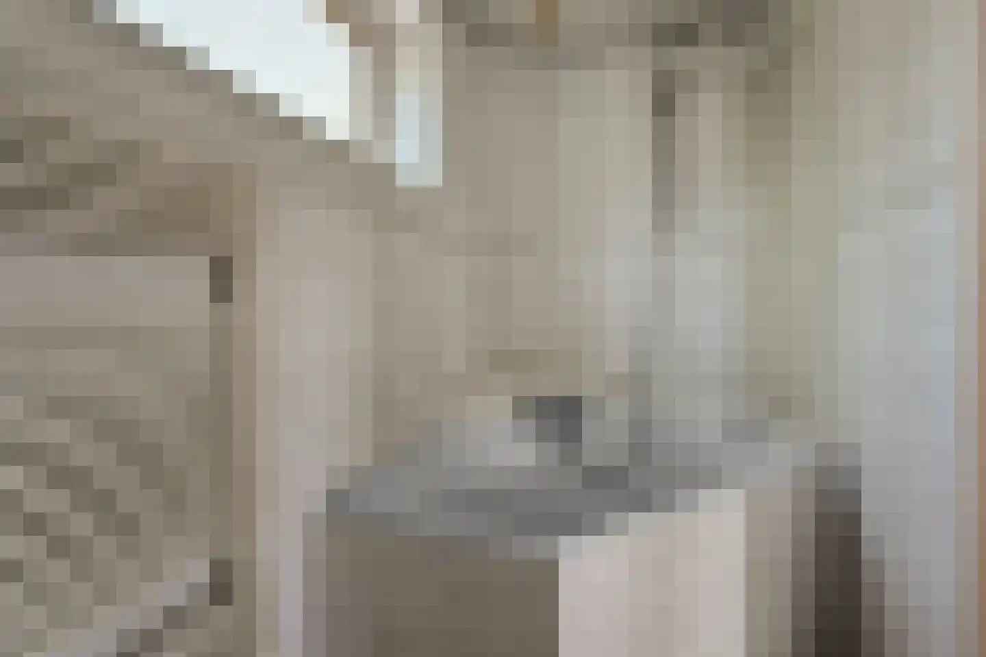 Anjerlaan 18 De Kwakel thumbnail 16