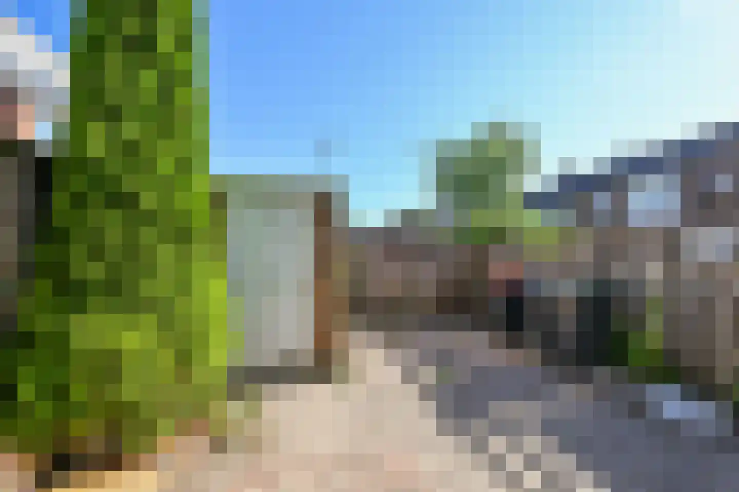 Anjerlaan 18 De Kwakel thumbnail 25