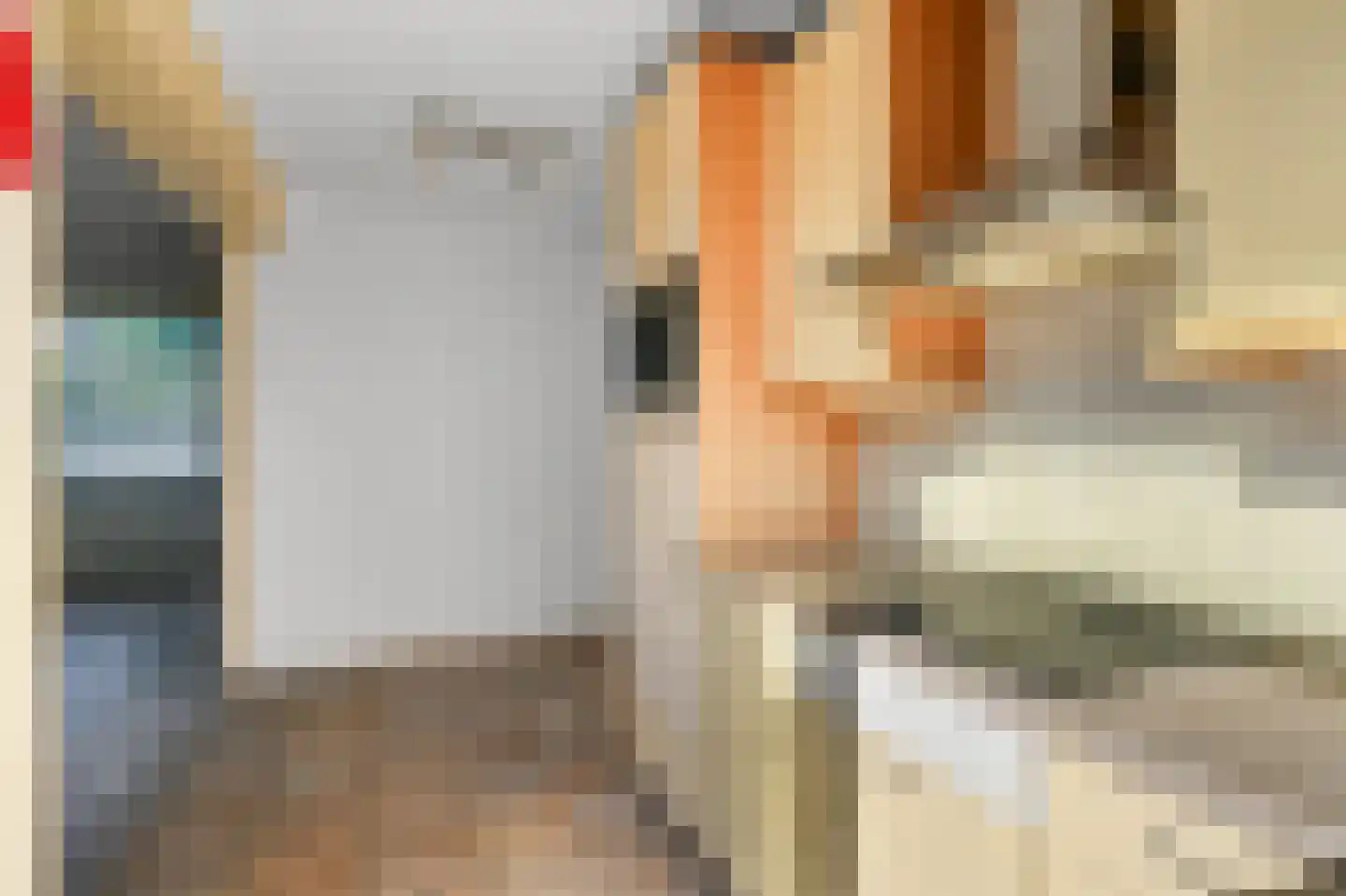 Anjerlaan 18 De Kwakel thumbnail 9
