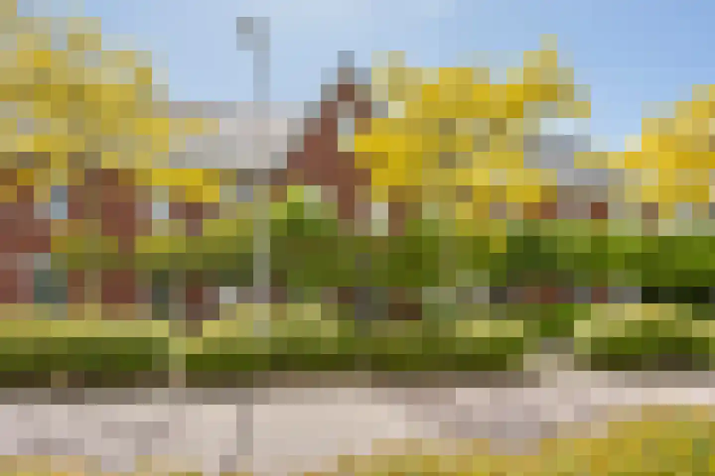 Anjerlaan 18 Zevenhuizen