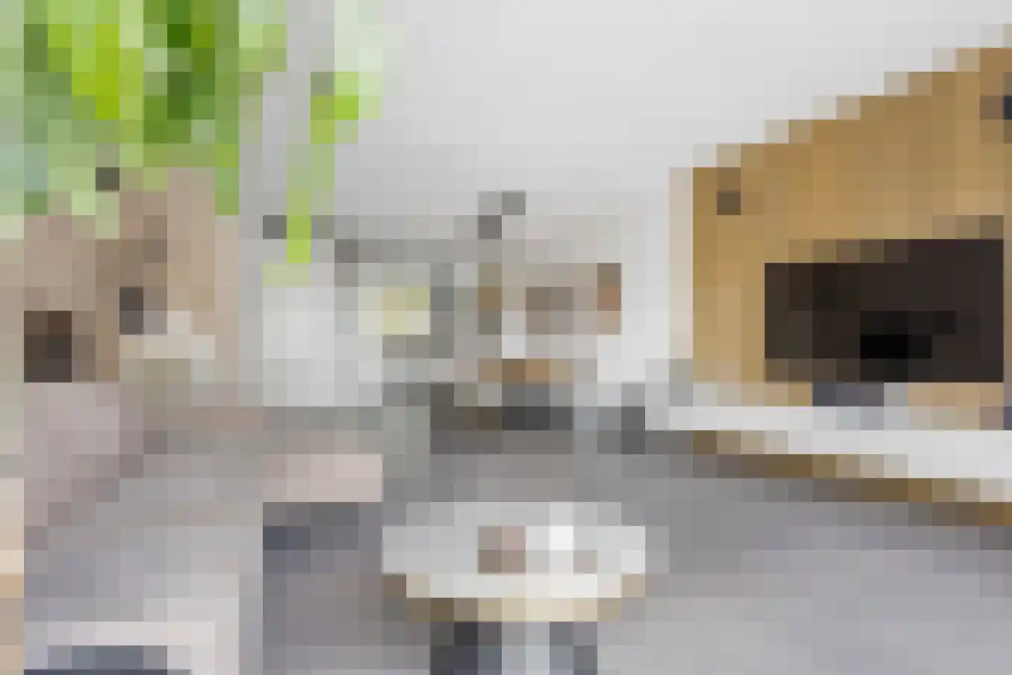 Anjerlaan 18 Zevenhuizen thumbnail 12