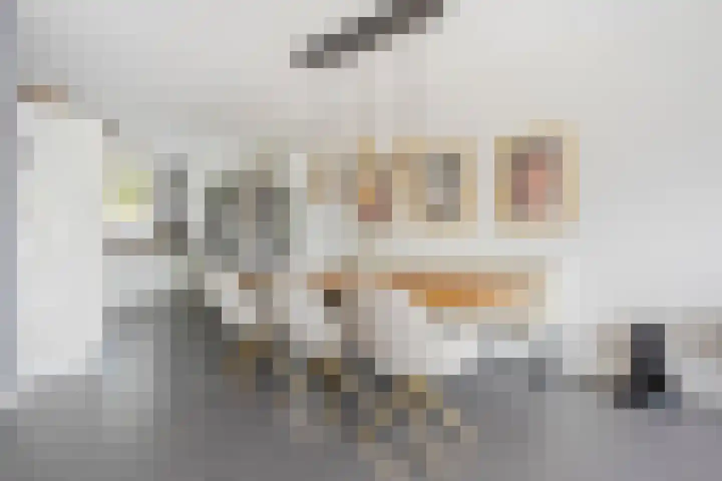 Anjerlaan 18 Zevenhuizen thumbnail 13