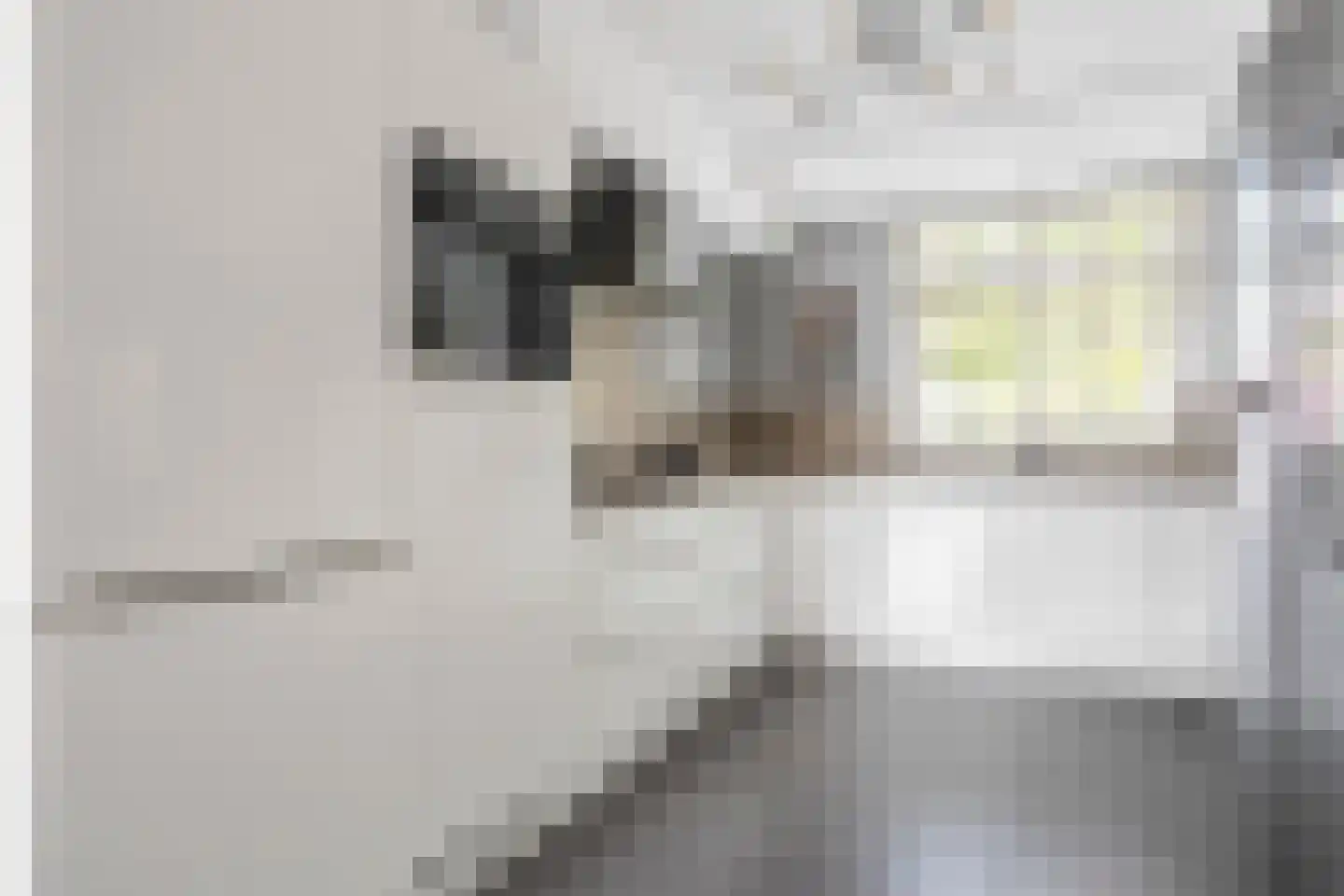 Anjerlaan 18 Zevenhuizen thumbnail 14