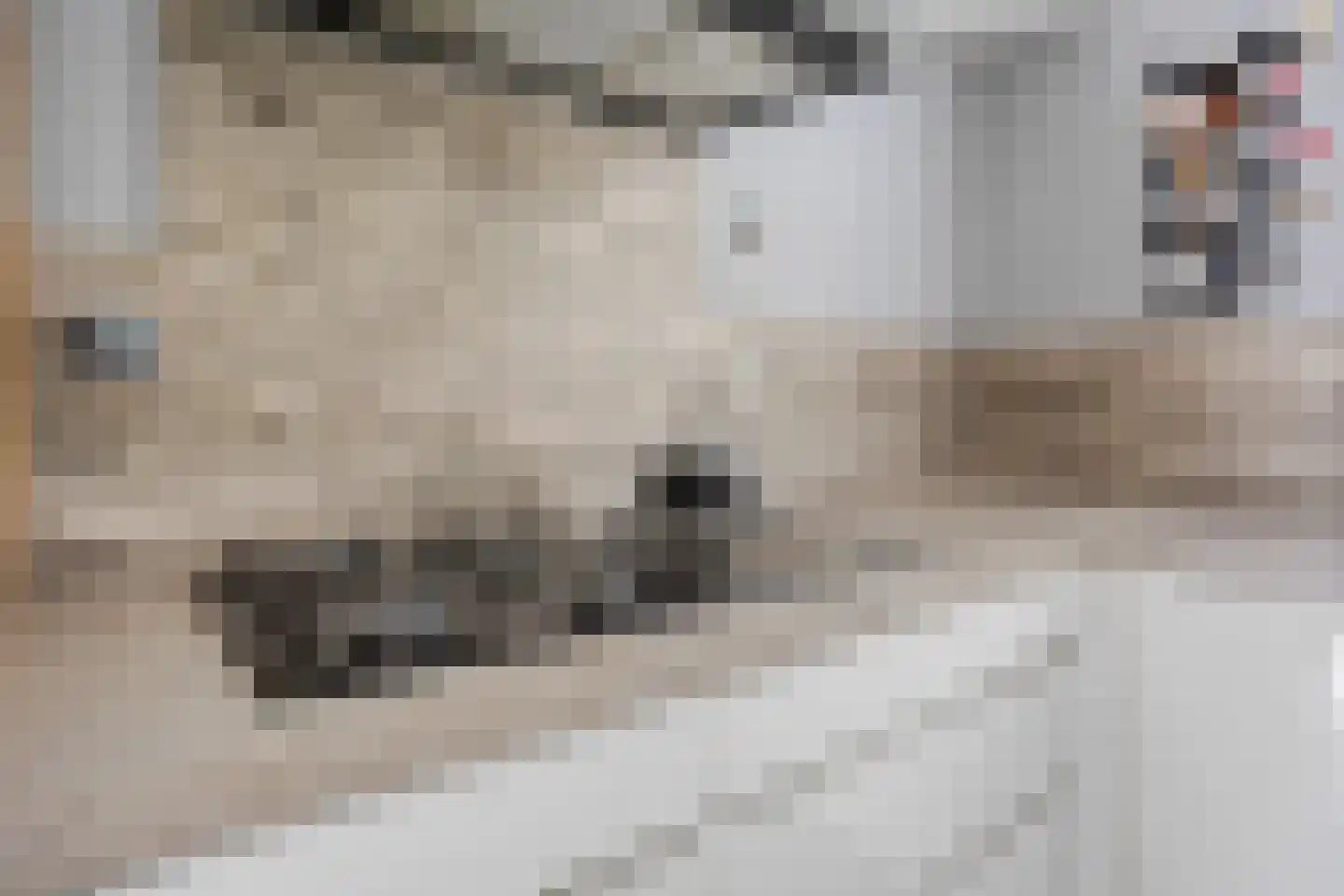 Anjerlaan 18 Zevenhuizen thumbnail 15