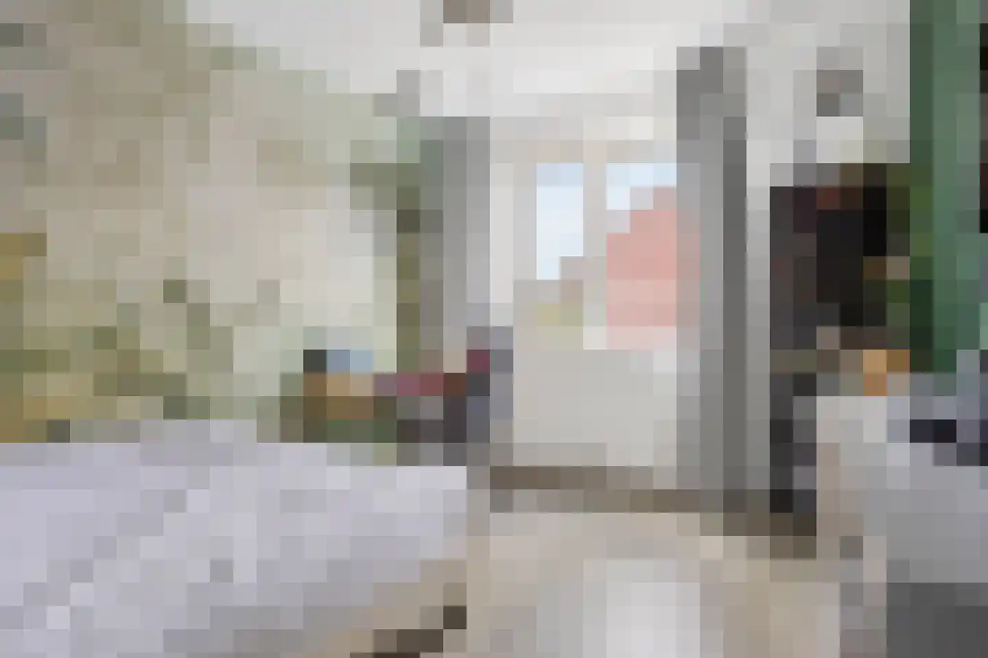 Anjerlaan 18 Zevenhuizen thumbnail 21