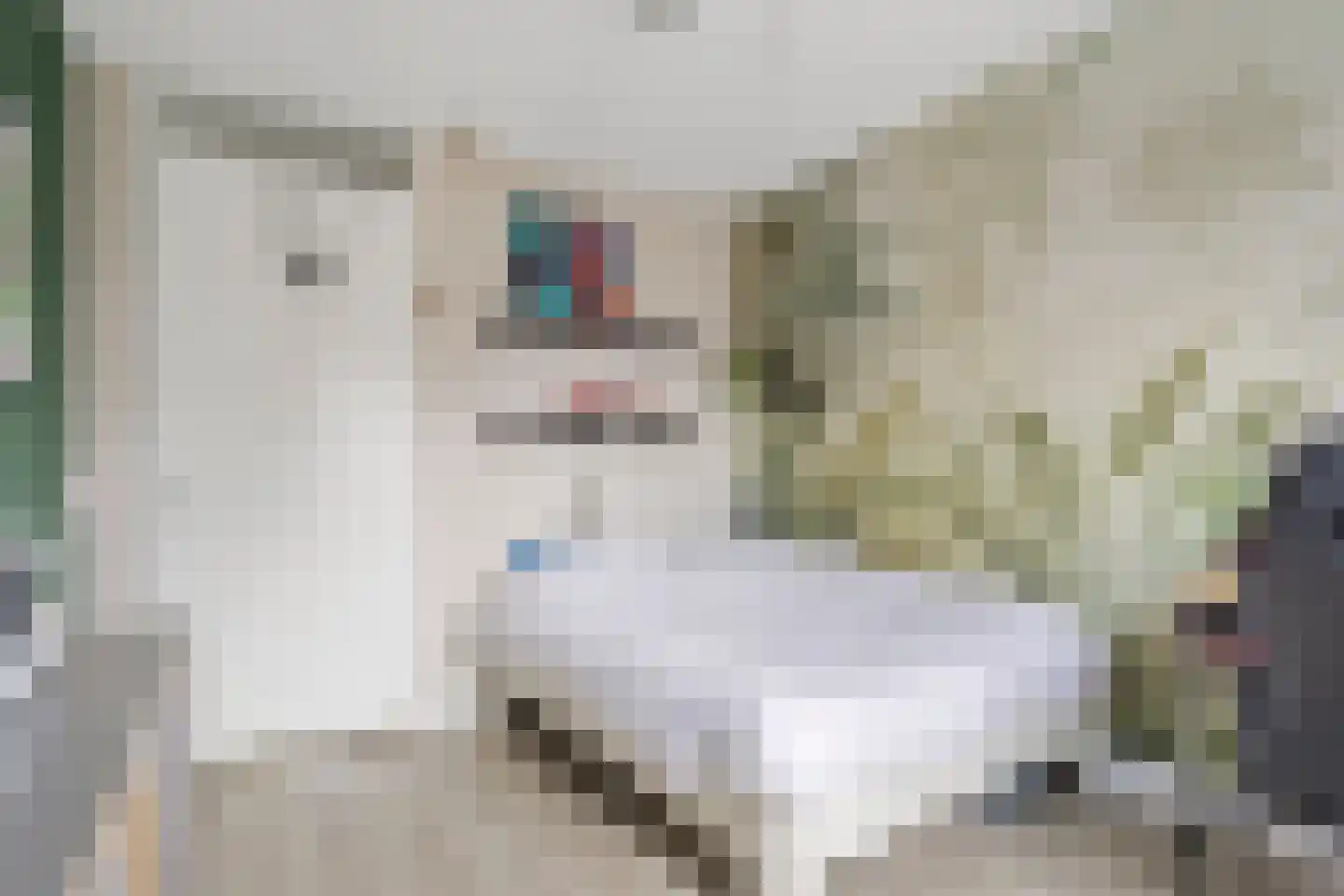 Anjerlaan 18 Zevenhuizen thumbnail 22