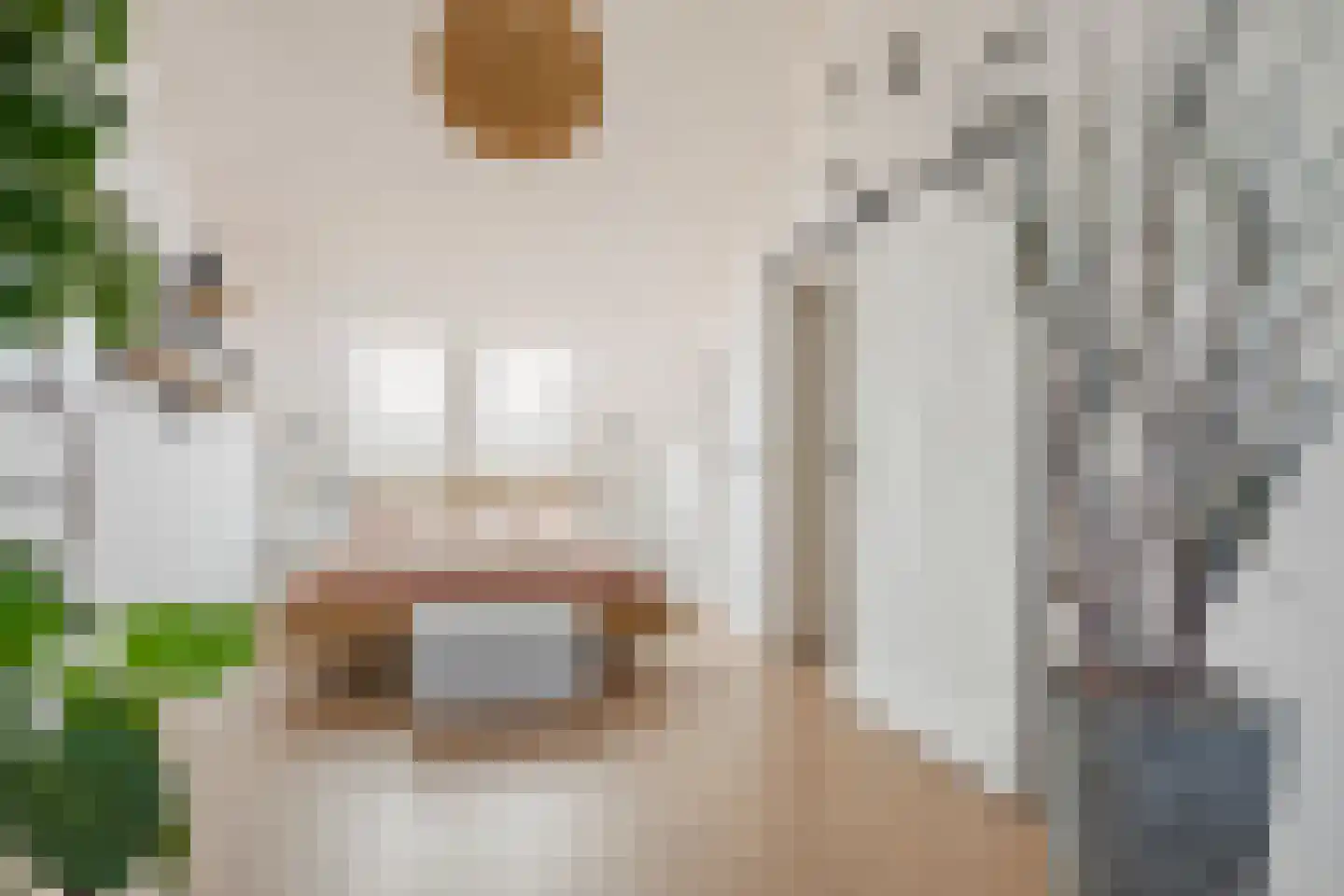 Anjerlaan 18 Zevenhuizen thumbnail 27