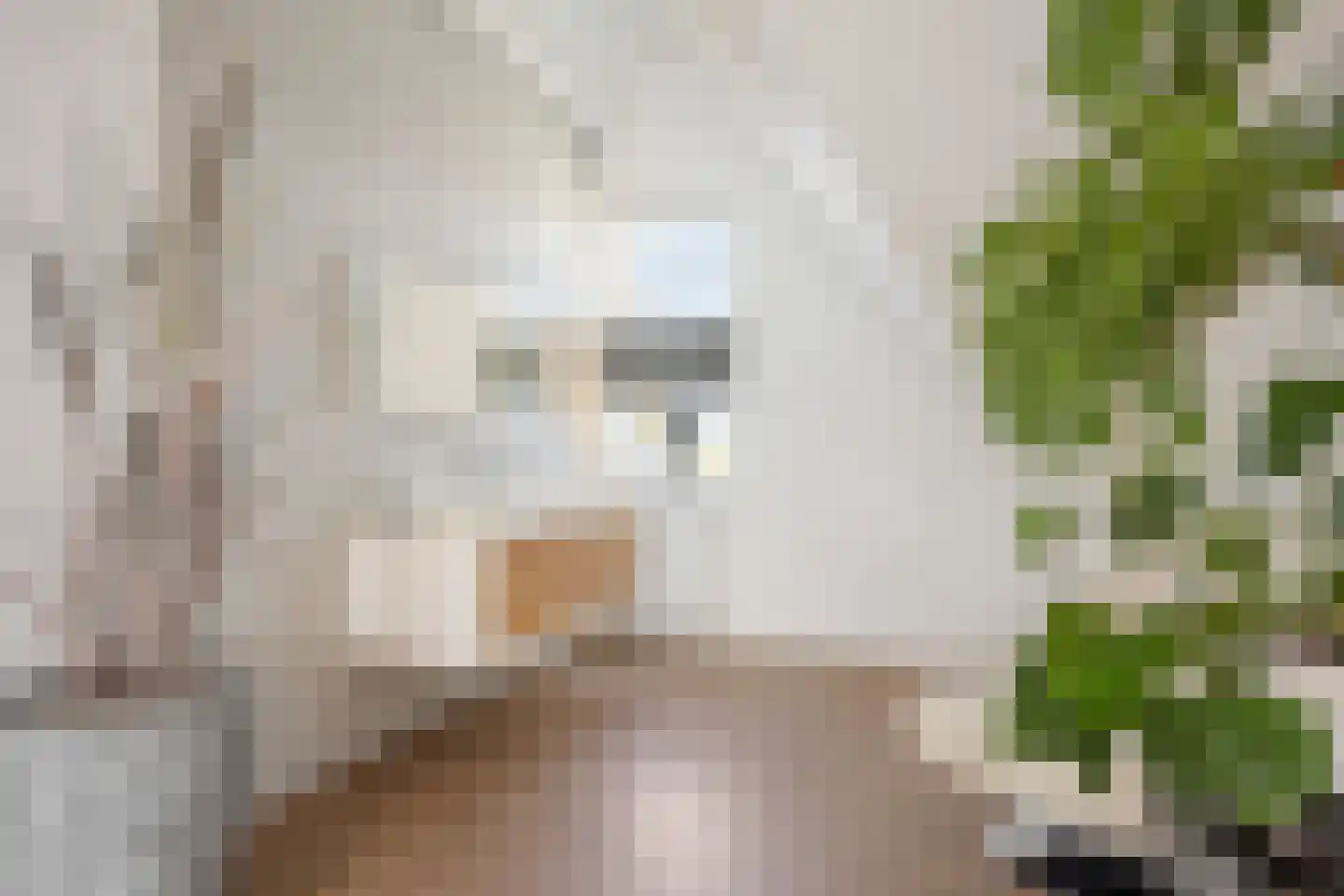 Anjerlaan 18 Zevenhuizen thumbnail 30