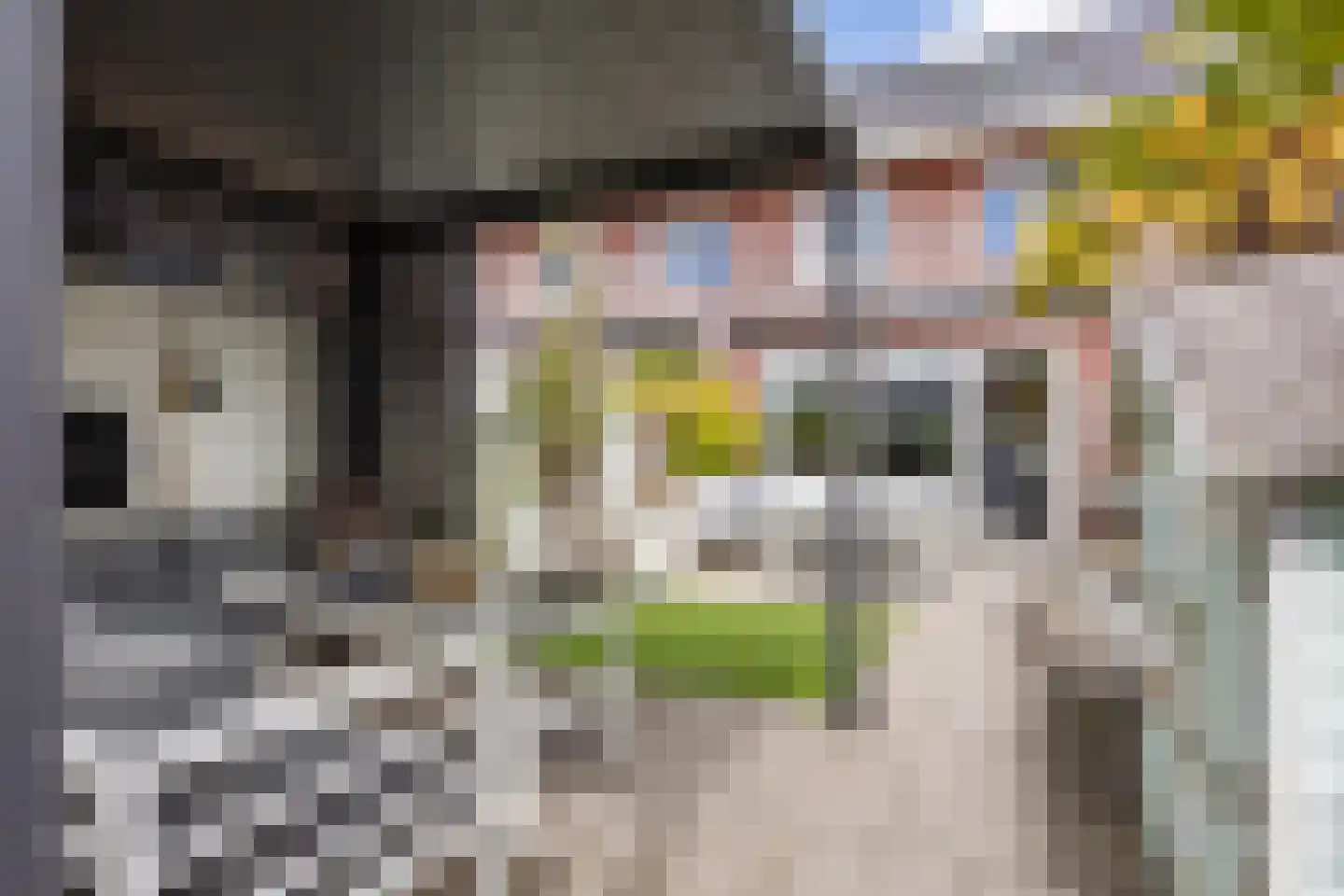 Anjerlaan 18 Zevenhuizen thumbnail 34
