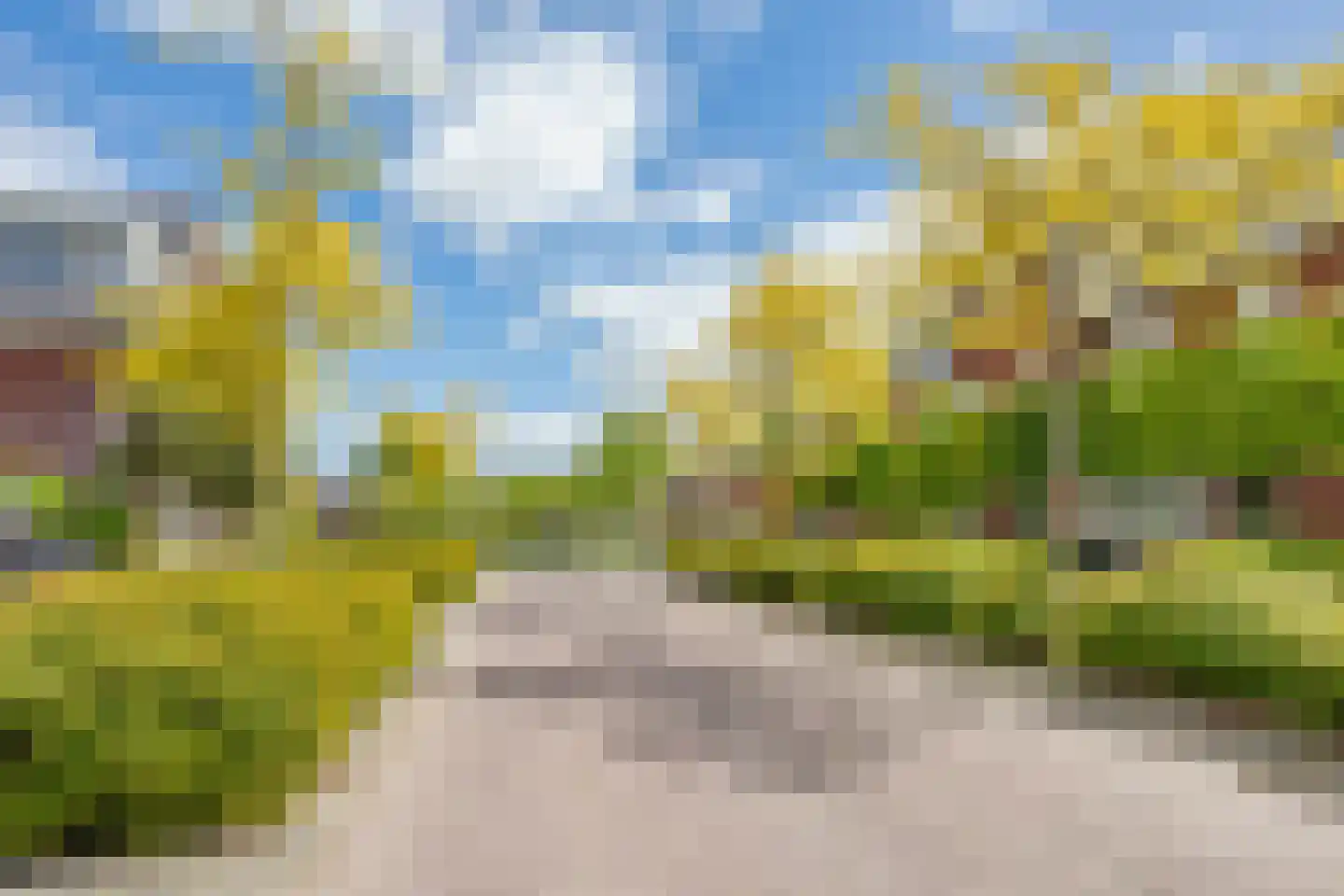 Anjerlaan 18 Zevenhuizen thumbnail 39