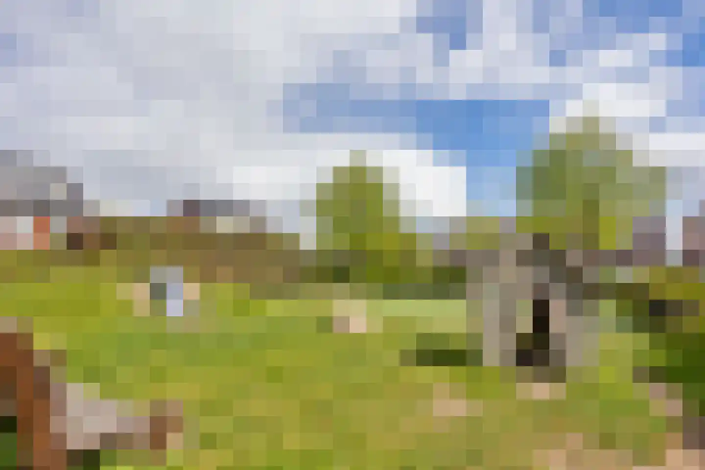 Anjerlaan 18 Zevenhuizen thumbnail 41