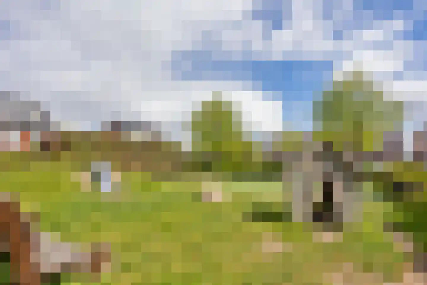 Anjerlaan 18 Zevenhuizen thumbnail 42