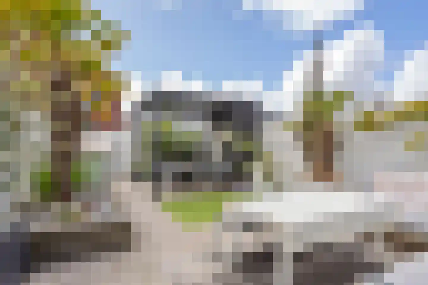 Anjerlaan 18 Zevenhuizen thumbnail 5