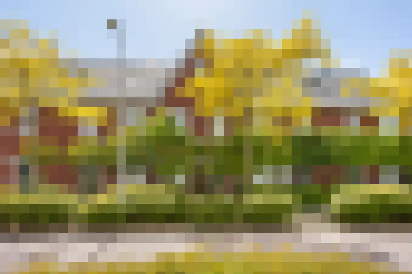 Anjerlaan 18 Zevenhuizen thumbnail 6