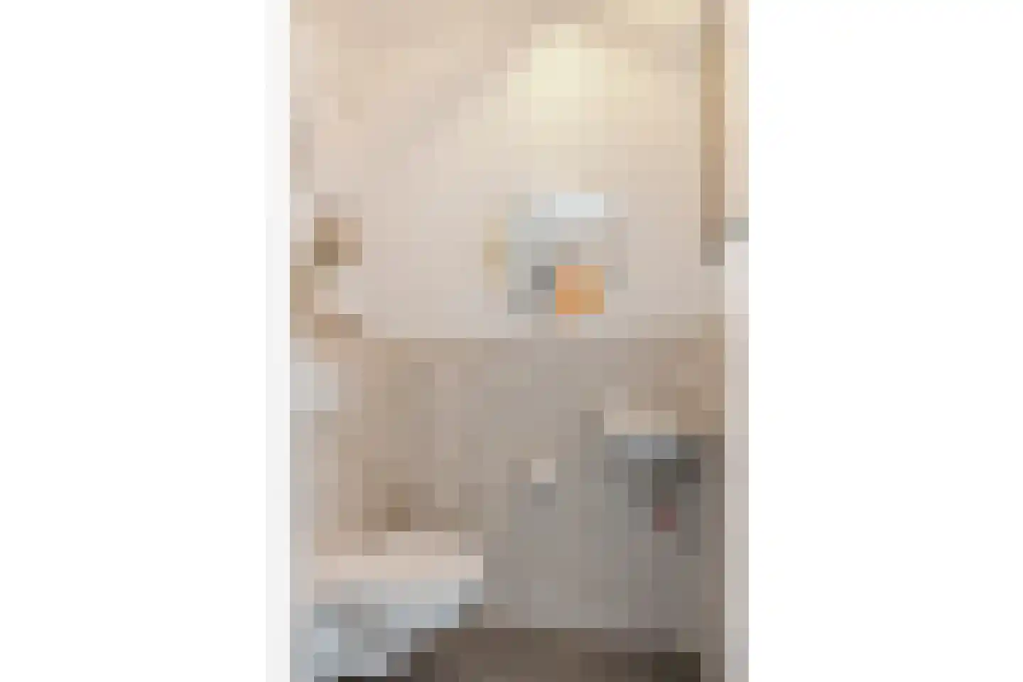 Anjerlaan 18 Zevenhuizen thumbnail 9