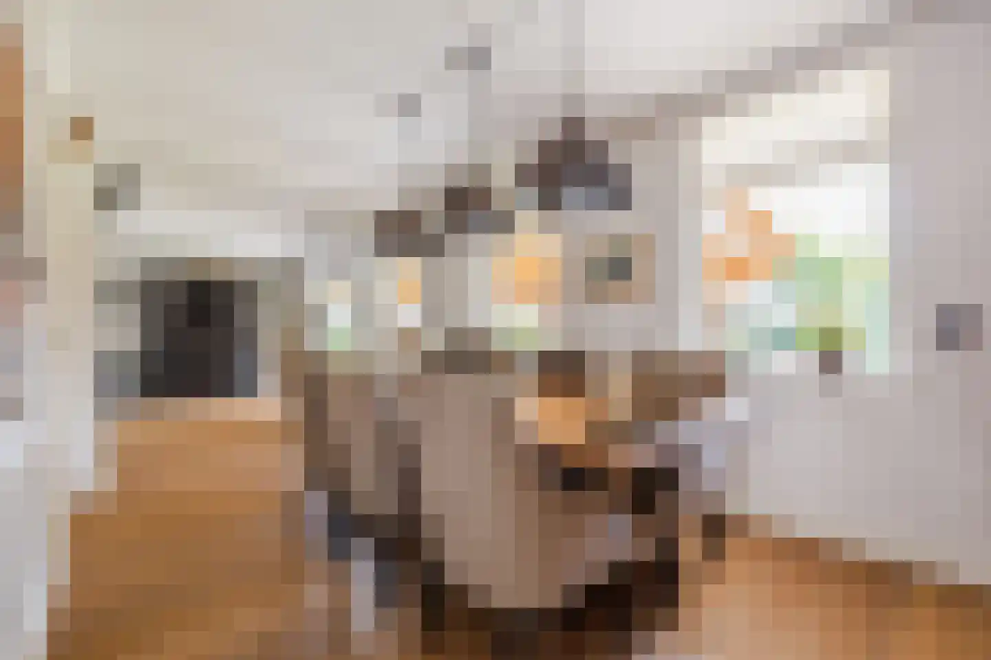Anjerlaan 32 Almkerk thumbnail 16