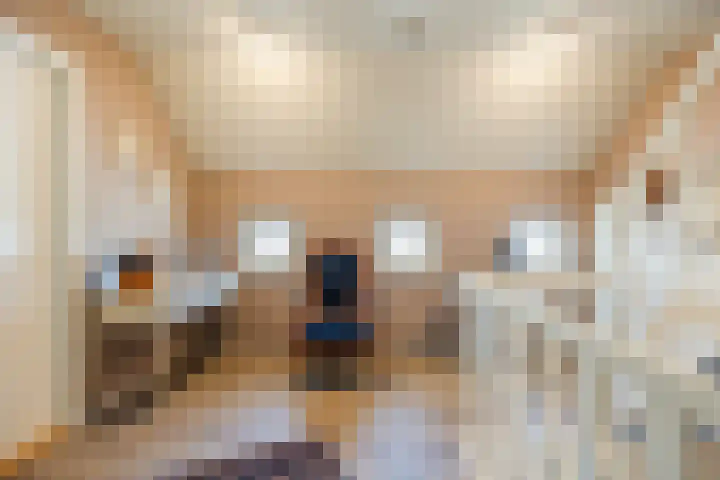 Anjerlaan 32 Almkerk thumbnail 23