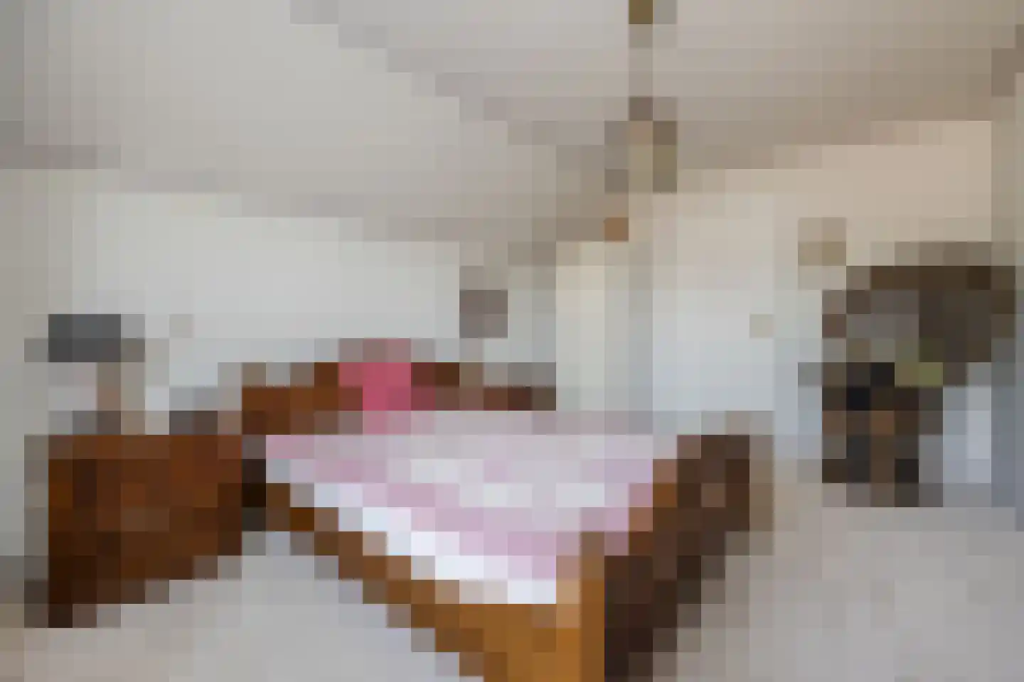 Anjerlaan 32 Almkerk thumbnail 28