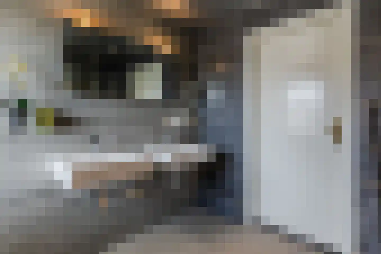 Anjerlaan 32 Almkerk thumbnail 35
