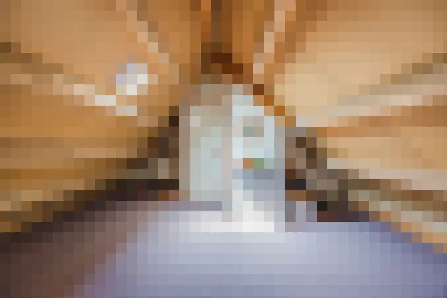 Anjerlaan 32 Almkerk thumbnail 39