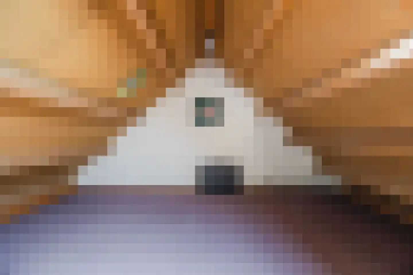 Anjerlaan 32 Almkerk thumbnail 40