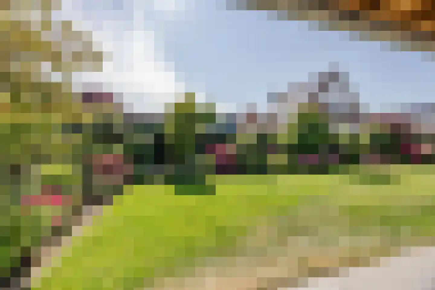 Anjerlaan 32 Almkerk thumbnail 47