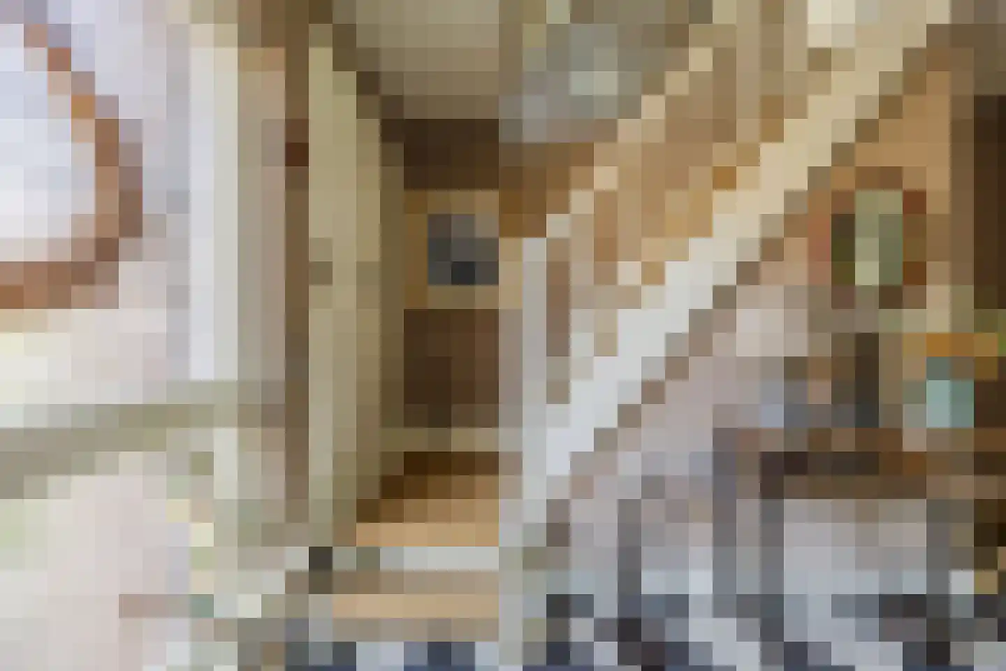 Anjerlaan 32 Almkerk thumbnail 5