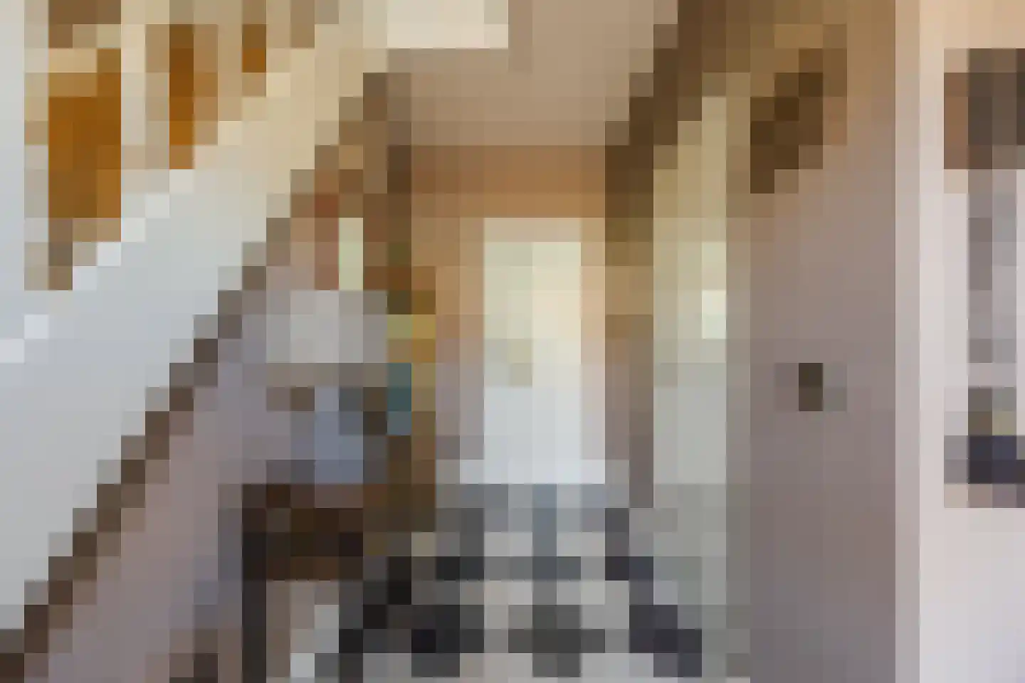 Anjerlaan 32 Almkerk thumbnail 6