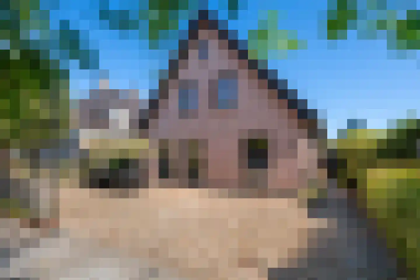 Anjerlaan 33 Zevenhuizen