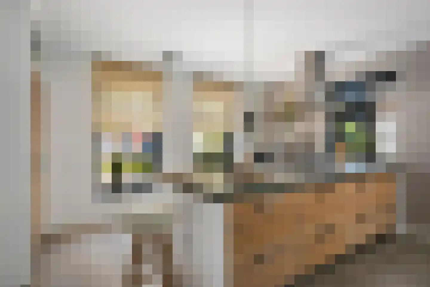 Anjerlaan 33 Zevenhuizen thumbnail 11