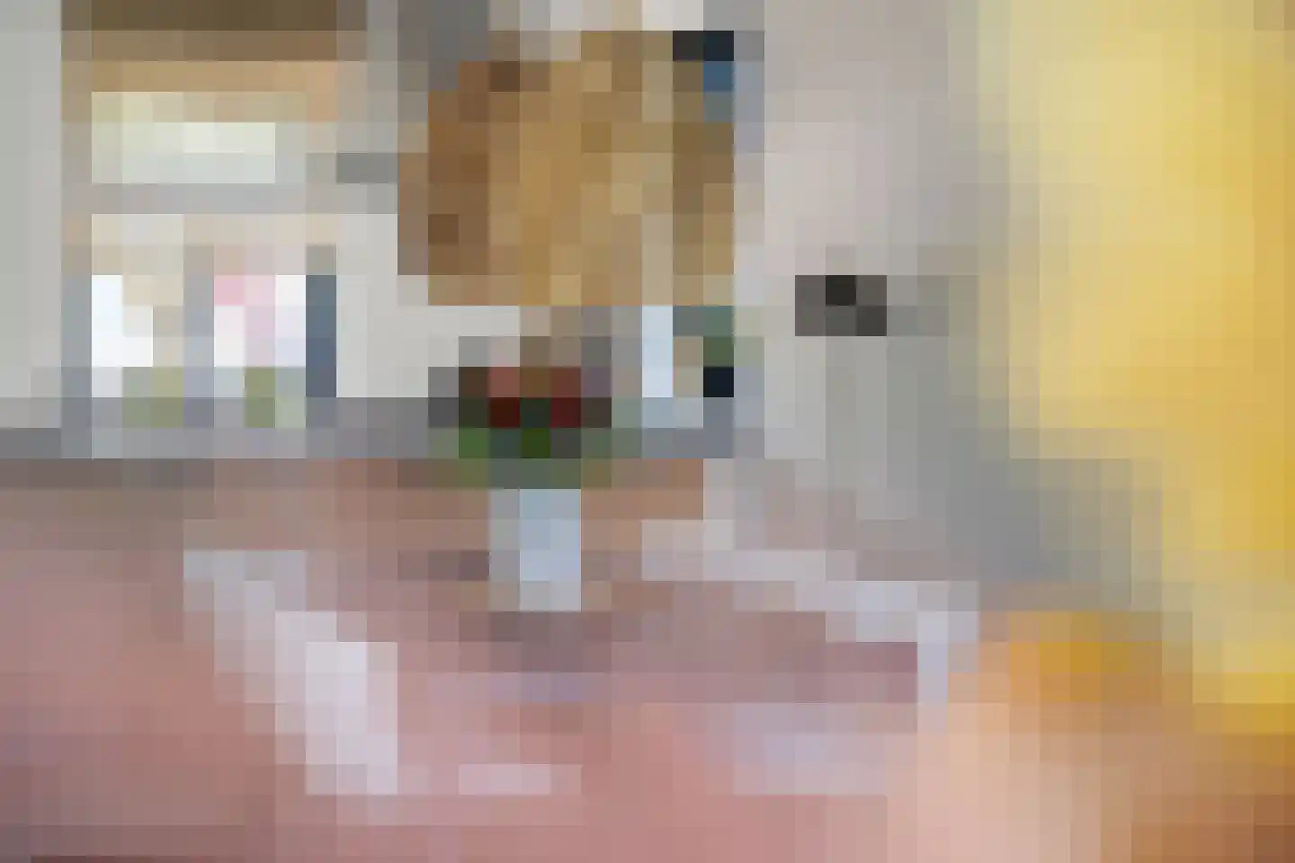 Anjerlaan 33 Zevenhuizen thumbnail 18