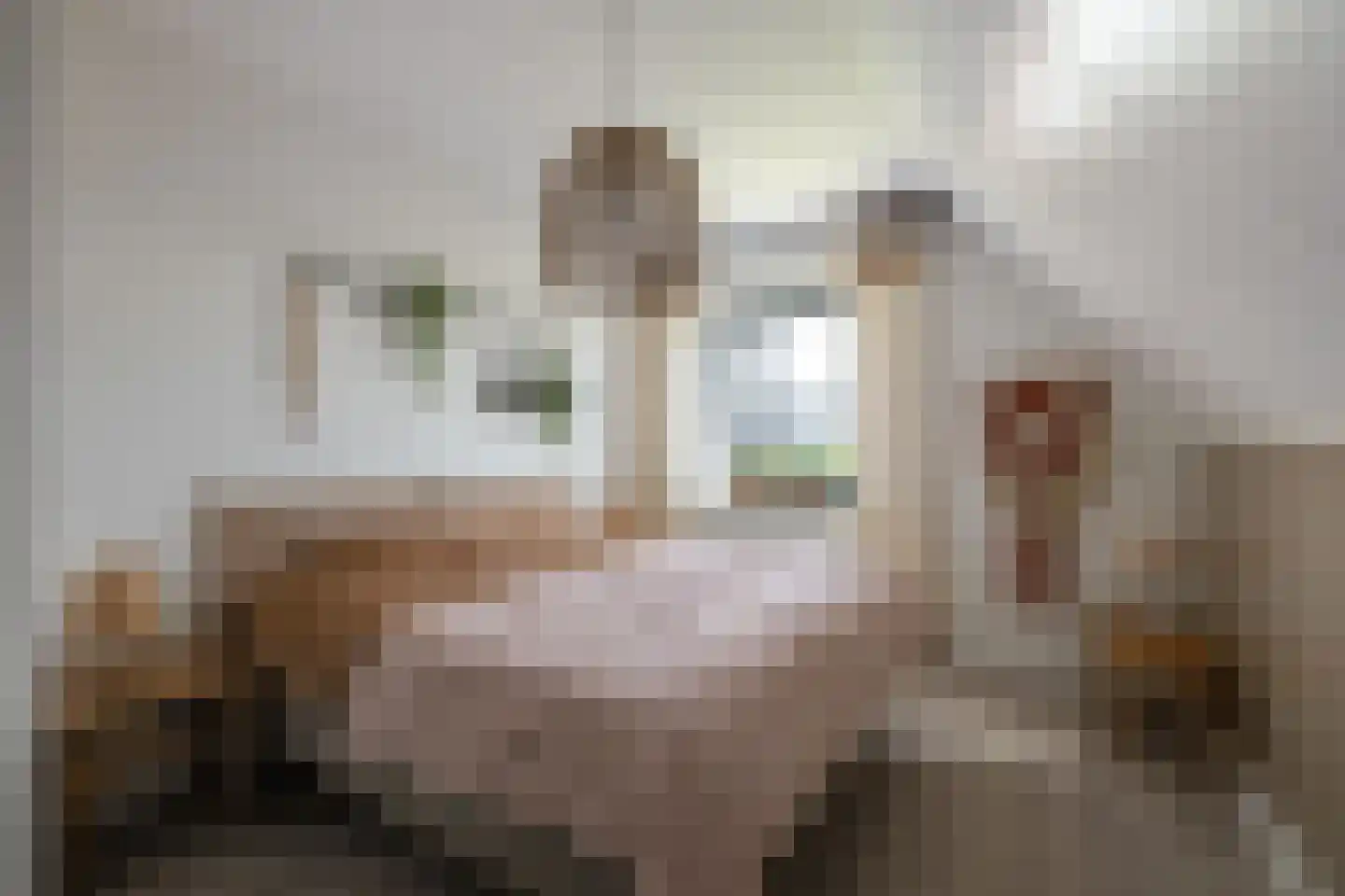Anjerlaan 33 Zevenhuizen thumbnail 22