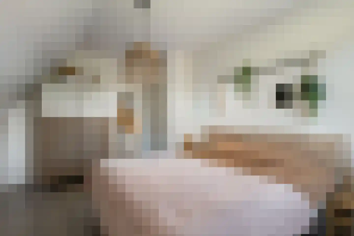 Anjerlaan 33 Zevenhuizen thumbnail 23