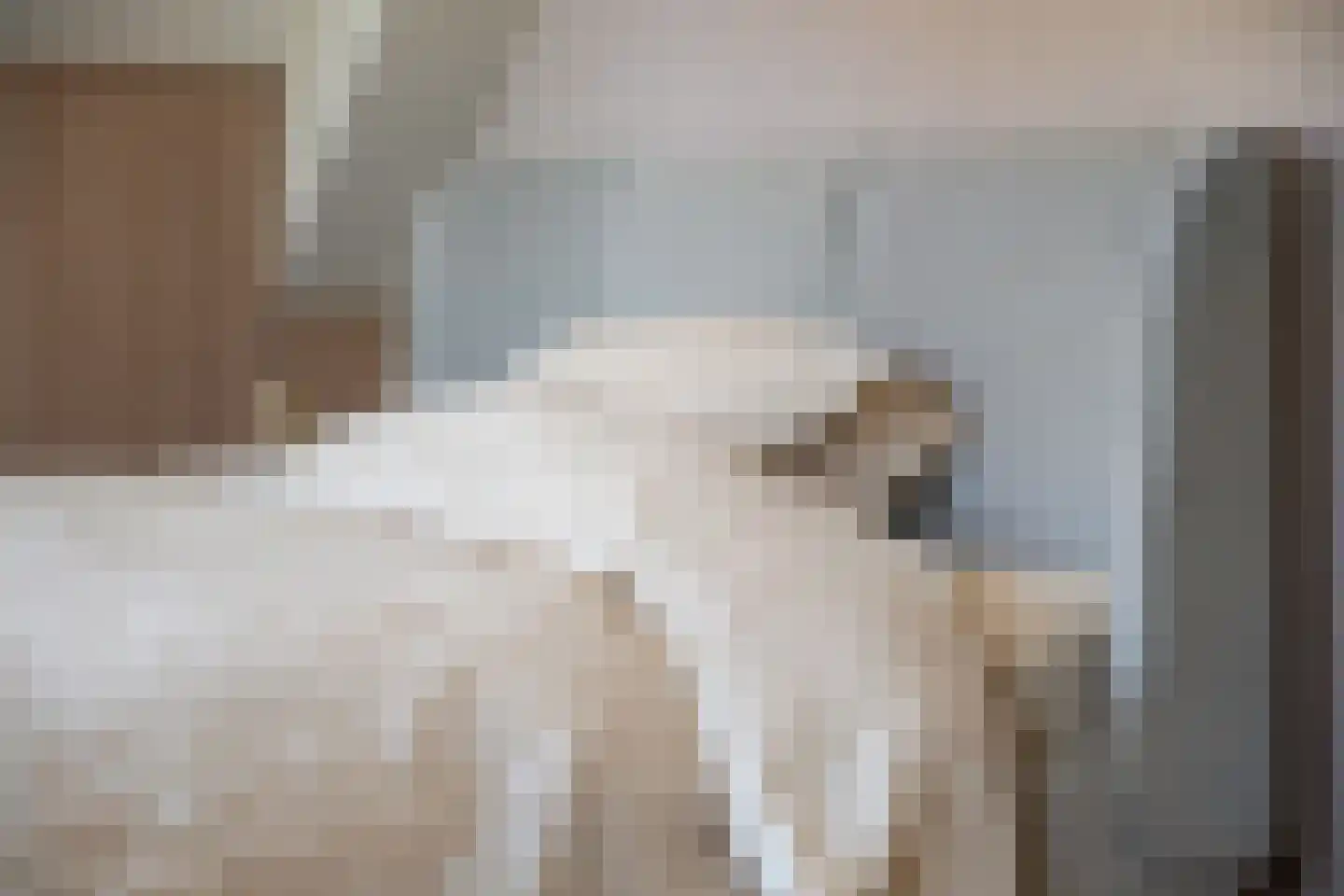 Anjerlaan 33 Zevenhuizen thumbnail 30