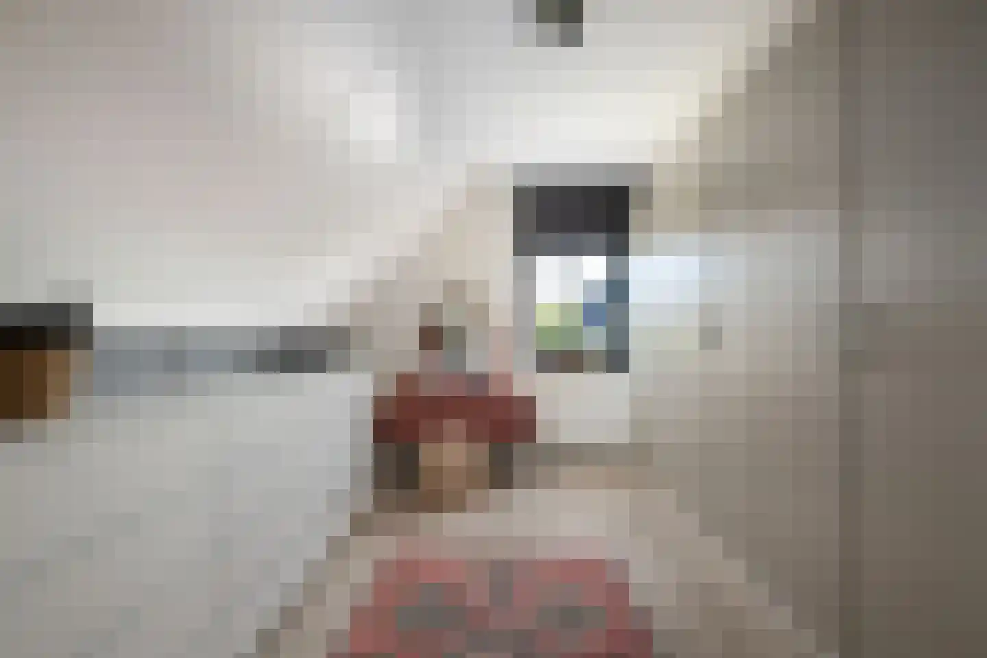 Anjerlaan 33 Zevenhuizen thumbnail 32