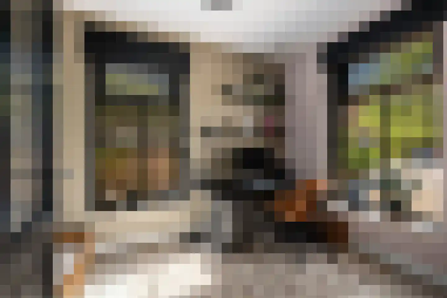 Anjerlaan 33 Zevenhuizen thumbnail 34