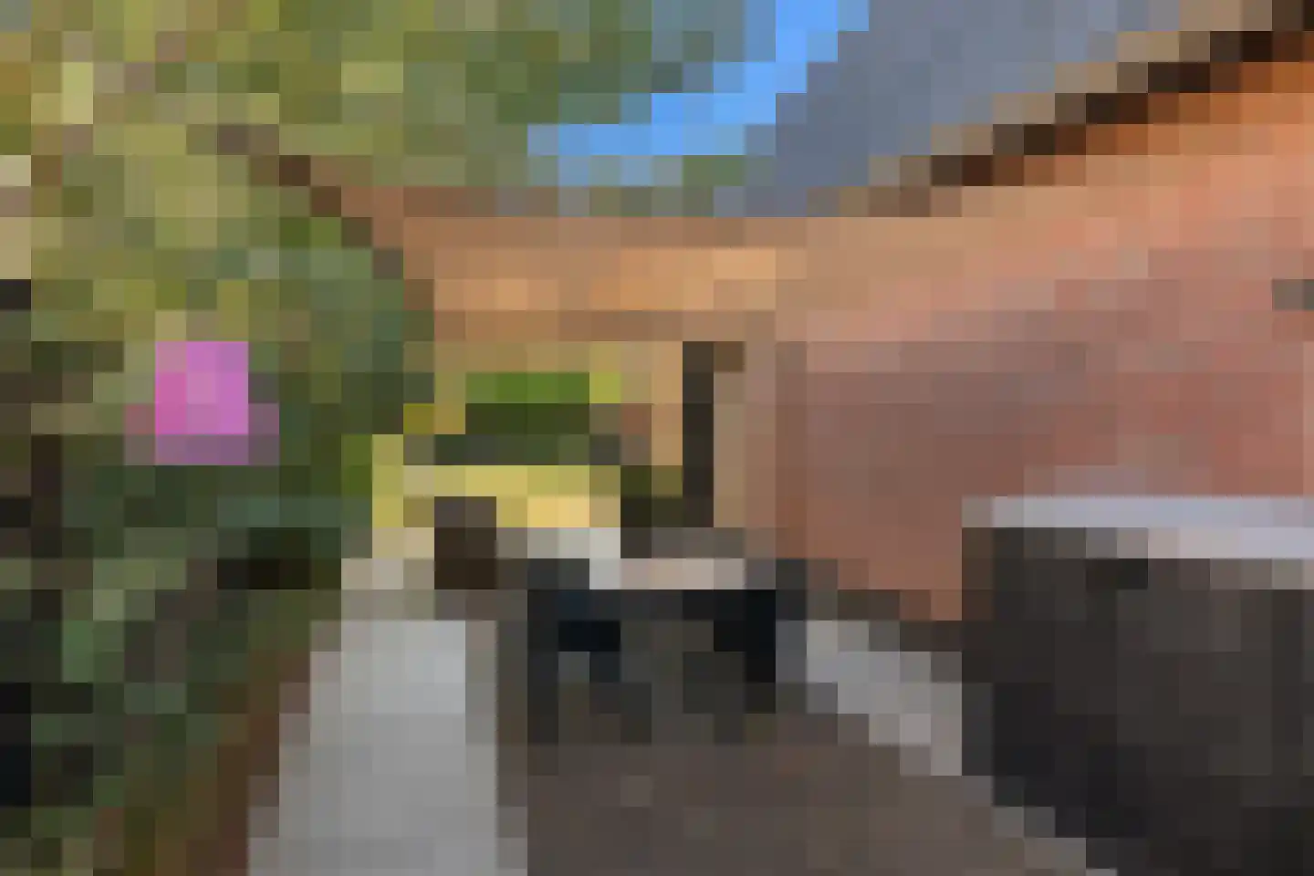 Anjerlaan 33 Zevenhuizen thumbnail 48