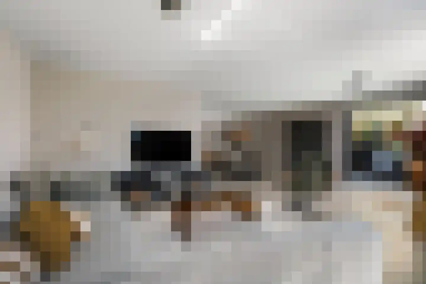 Anjerlaan 33 Zevenhuizen thumbnail 5