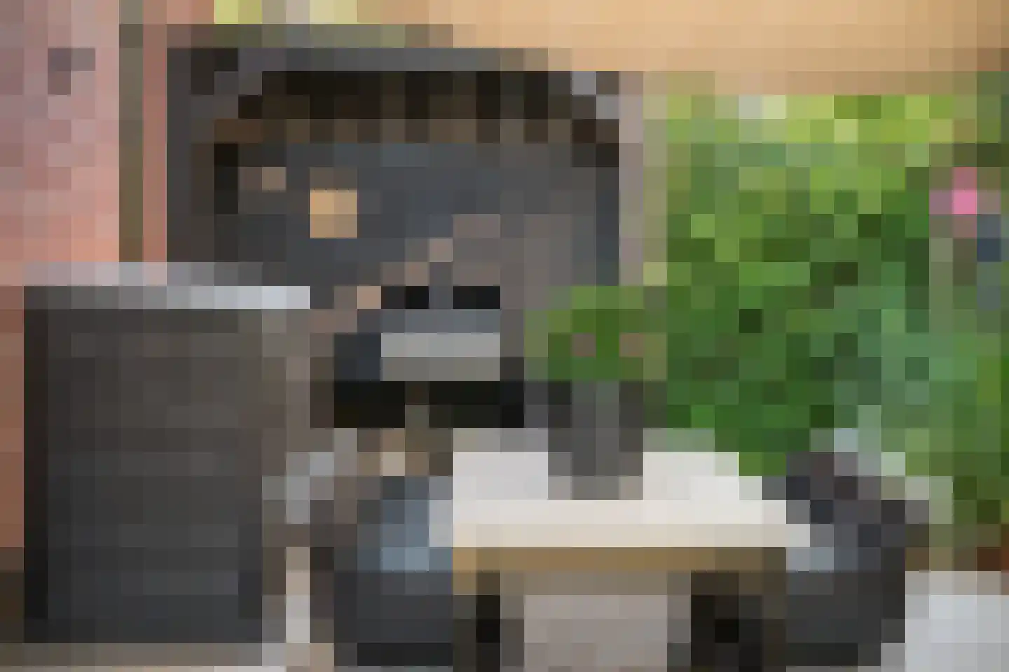 Anjerlaan 33 Zevenhuizen thumbnail 50